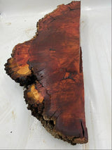 River Red Gum Burl 550 x 230 x 90mm