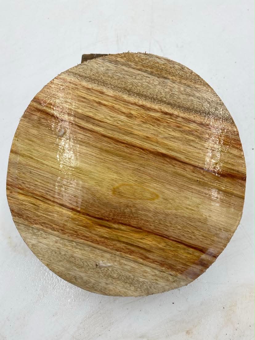 Camphor Laurel (wet) Bowl Blank 150 x 80mm