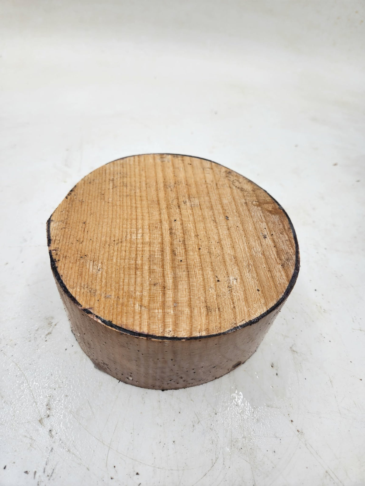 Claret  Ash Bowl Blank 150mmx70mm