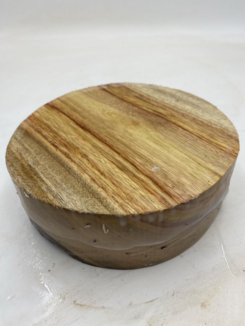 Camphor Laurel (wet) Bowl Blank 150 x 80mm