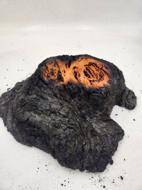 River Red Gum Burl 360 x 280 x 80mm