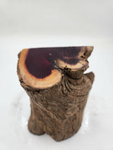 Dead Finish Log  180mmx120mmx65mm