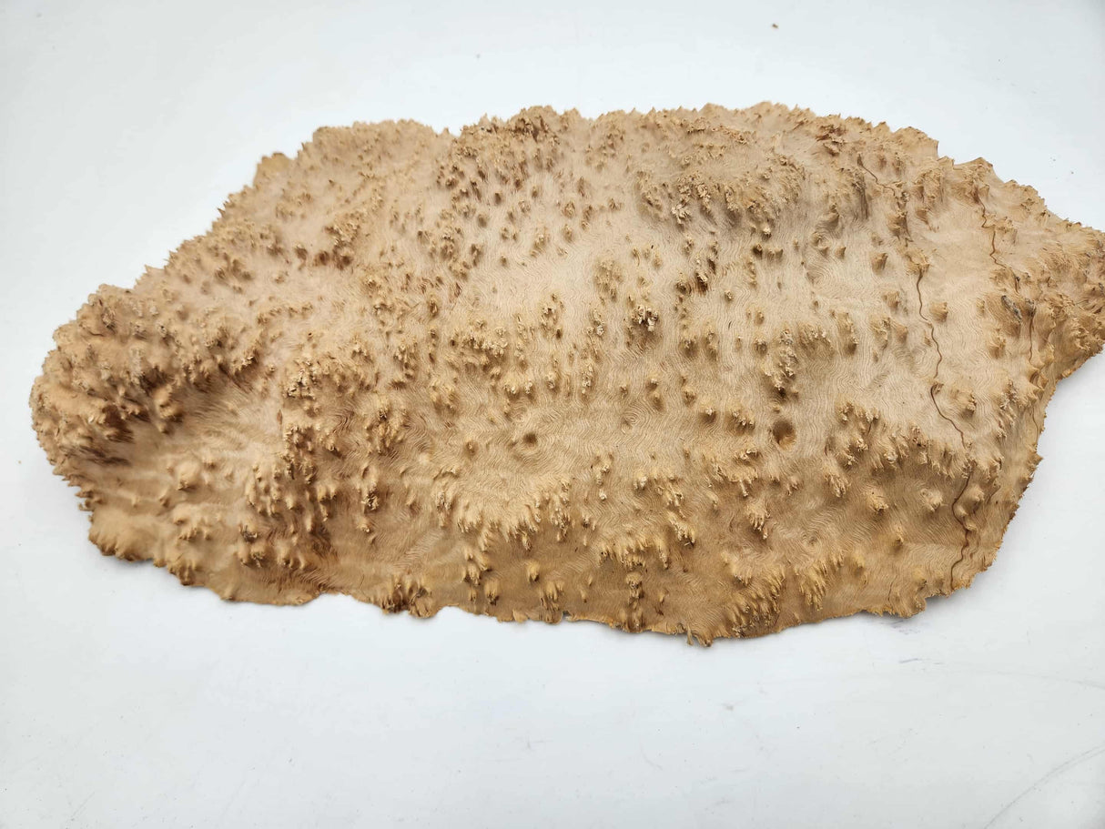 Red Mallee Burl 380mmx210mmx70mm