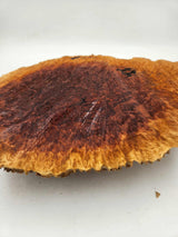 Red Mallee Burl 400mmx280mmx60mm