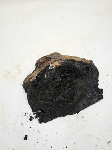 Forest Red Gum Burl 200x160x60mm