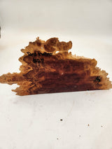 Red Mallee Burl 300x160x30mm