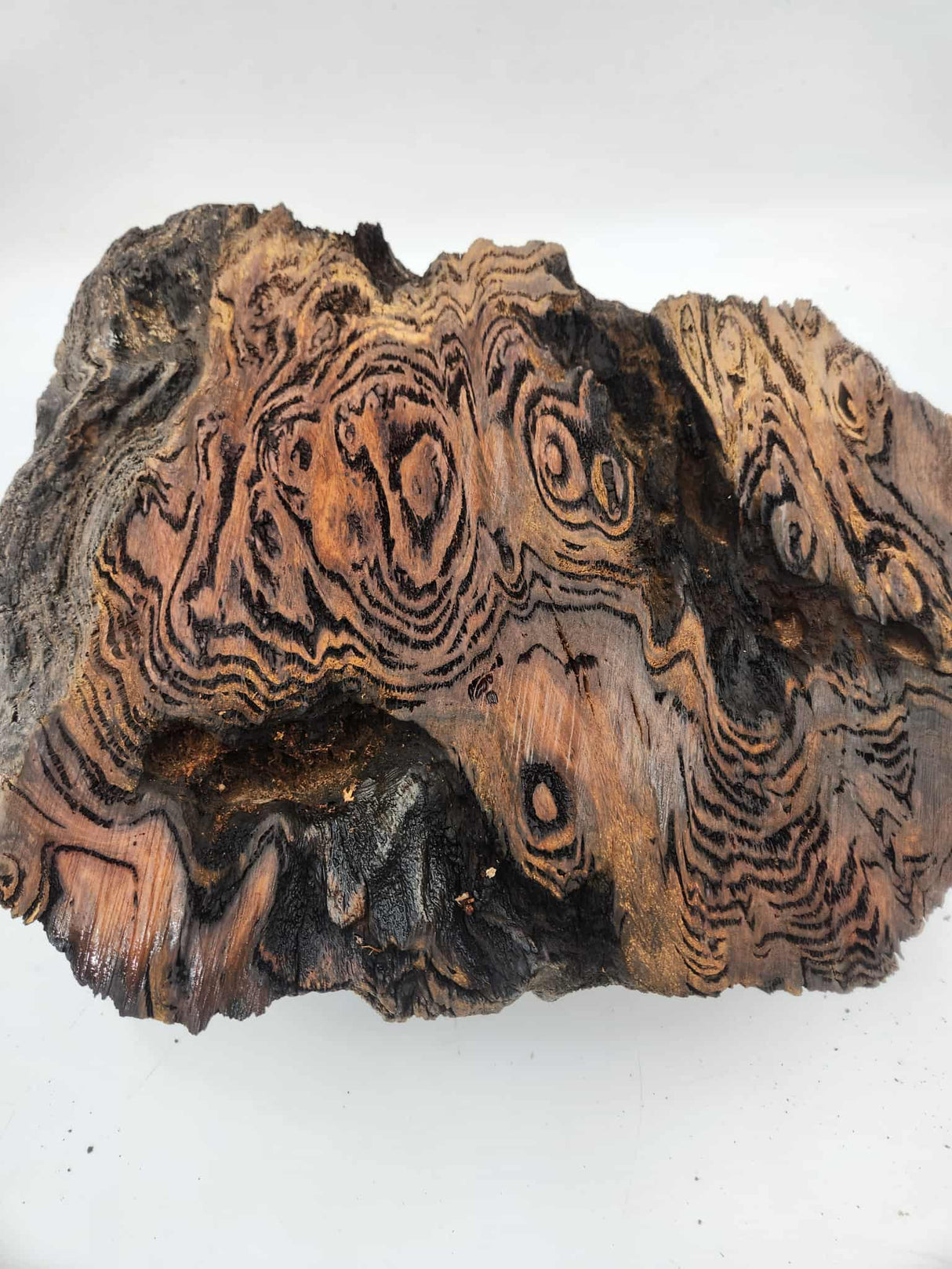 Black Butt Burl 400mmx280mmx120mm