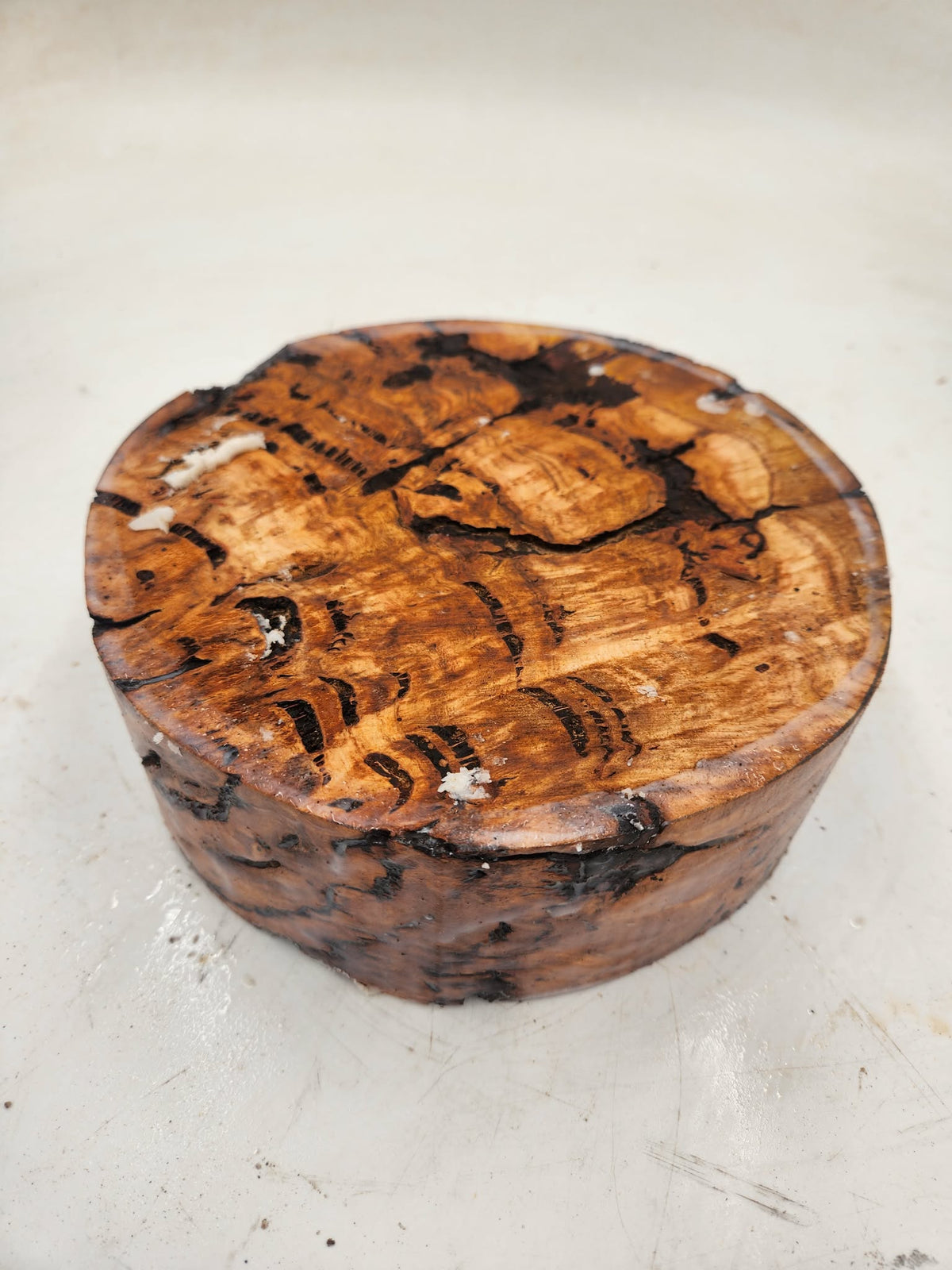 Red Gum Burl Bowl Blank 200mmx70mm