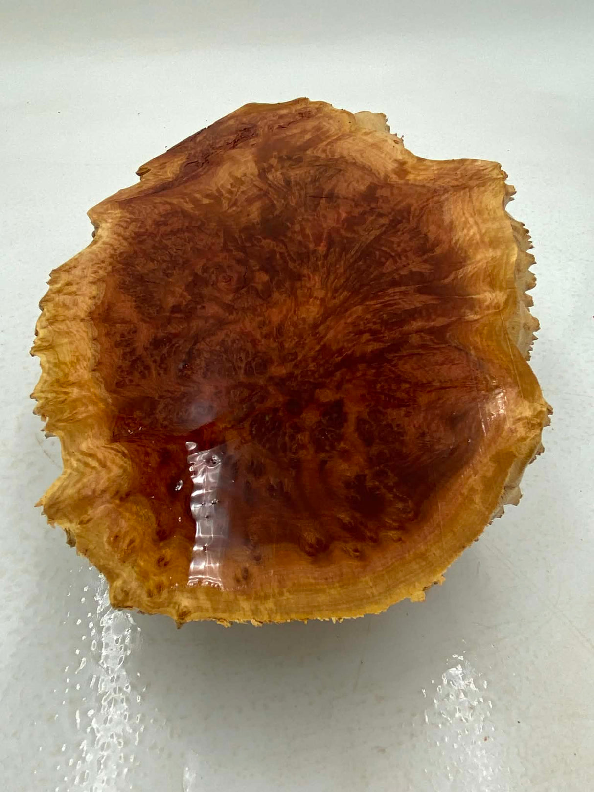 Red Mallee Burl 300 x 200 x 70mm