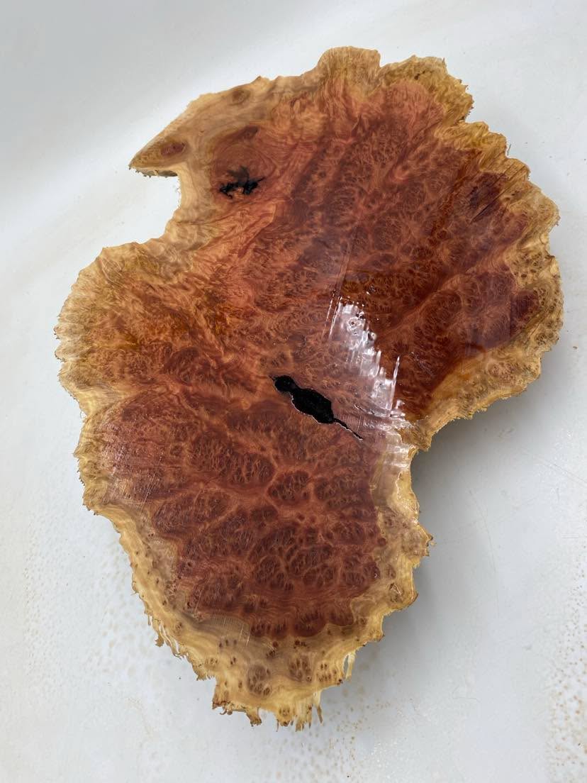 Red Mallee Burl 470 x 270 x 110mm