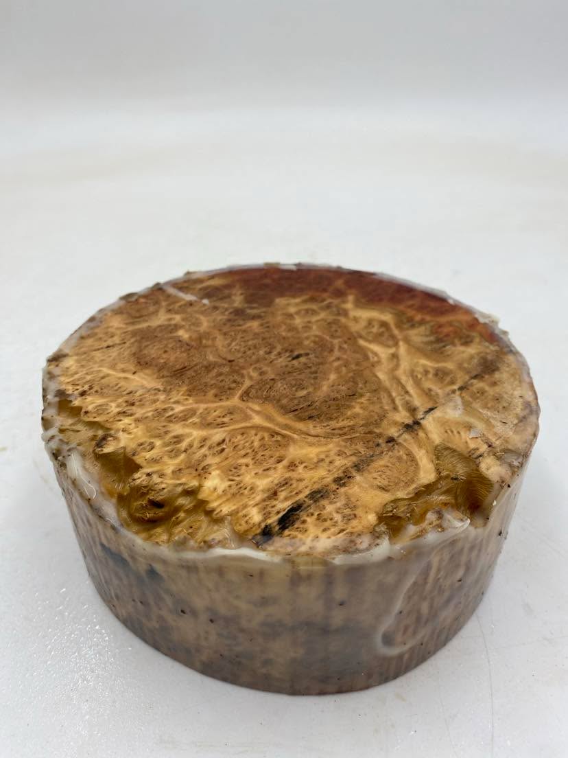 Red Mallee Burl Bowl Blank 150 x 60mm