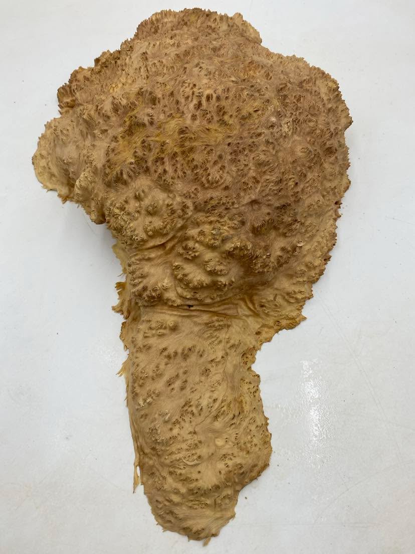 Red Mallee Burl 270 x 300 x 100mm