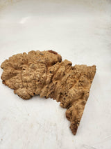 Red Mallee Burl 270x160x55mm