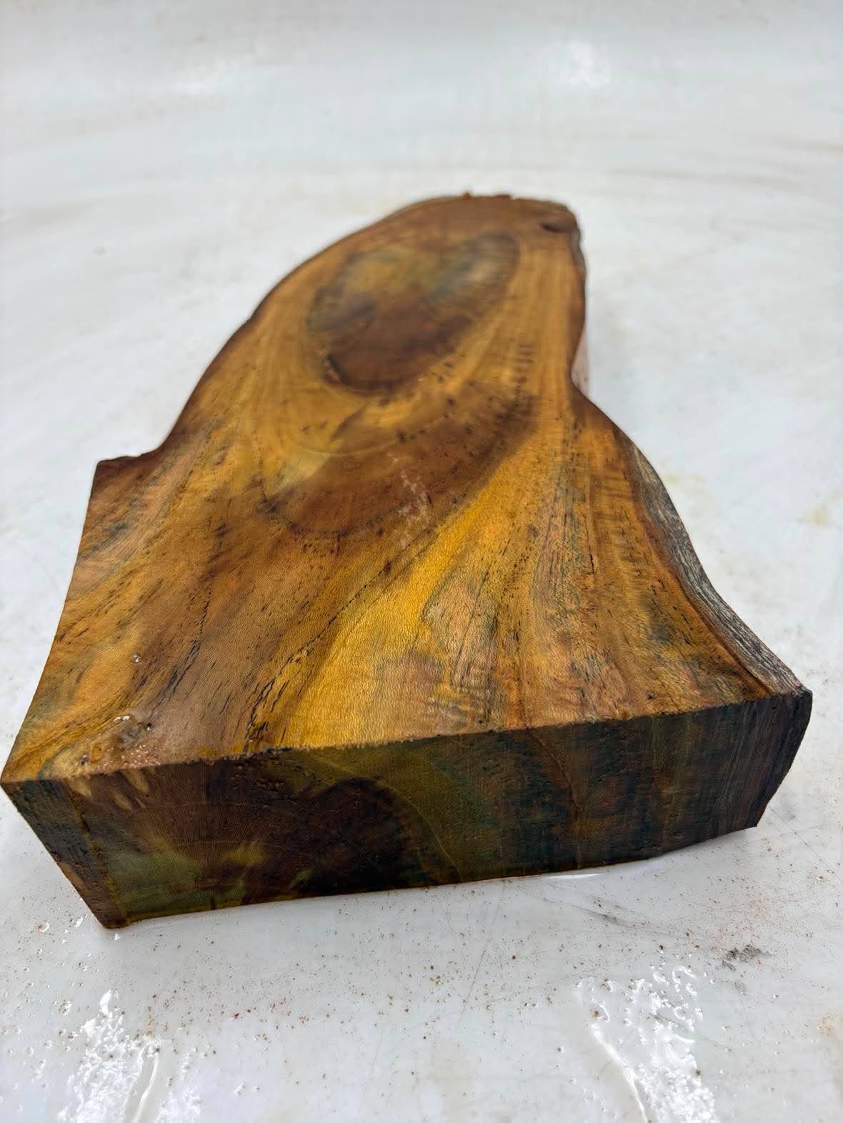 Musk Burl 260 x 130 x 50mm