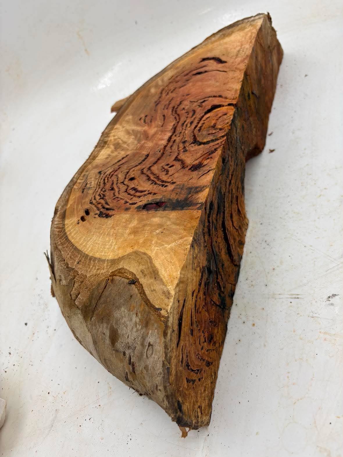 Forest Red Gum Burl 530 x 200 x 90mm