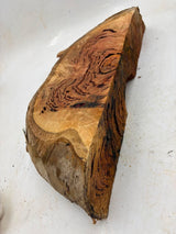 Forest Red Gum Burl 530 x 200 x 90mm