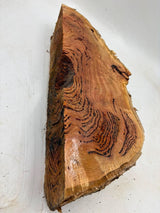 Forest Red Gum Burl 530 x 200 x 90mm