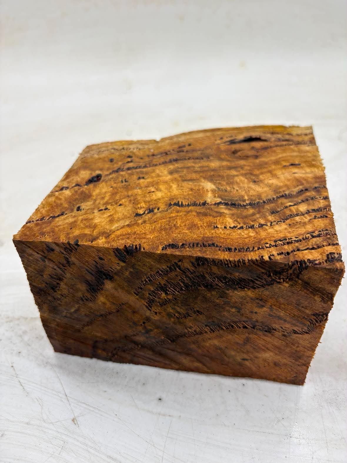 Forest Red Gum Burl 140 x 130 x 70mm