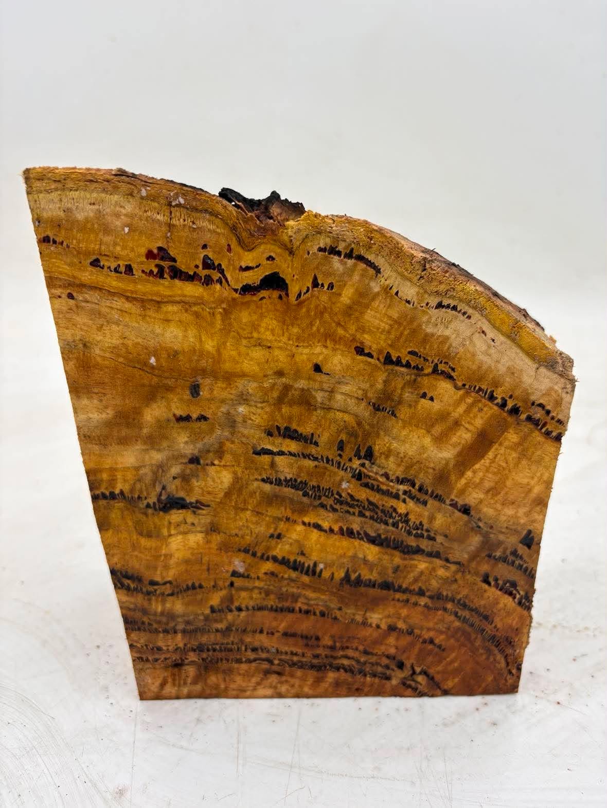 Forest Red Gum Burl 140 x 130 x 70mm