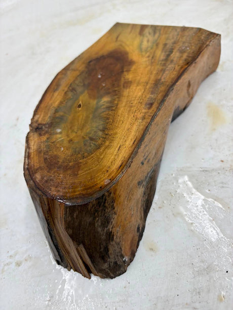 Musk Burl 260 x 130 x 50mm