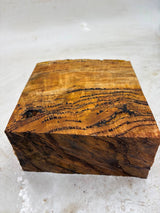 Forest Red Gum Burl 155 x 175 x 75mm