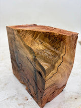 Forest Red Gum Burl 160 x 160 x 90mm