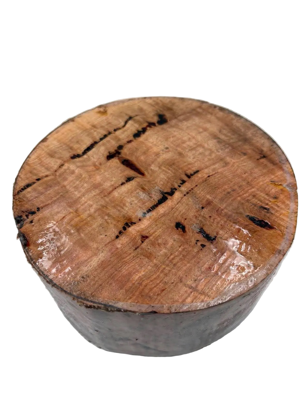 Forest Red Gum Burl Bowl Blank 150 x 80mm