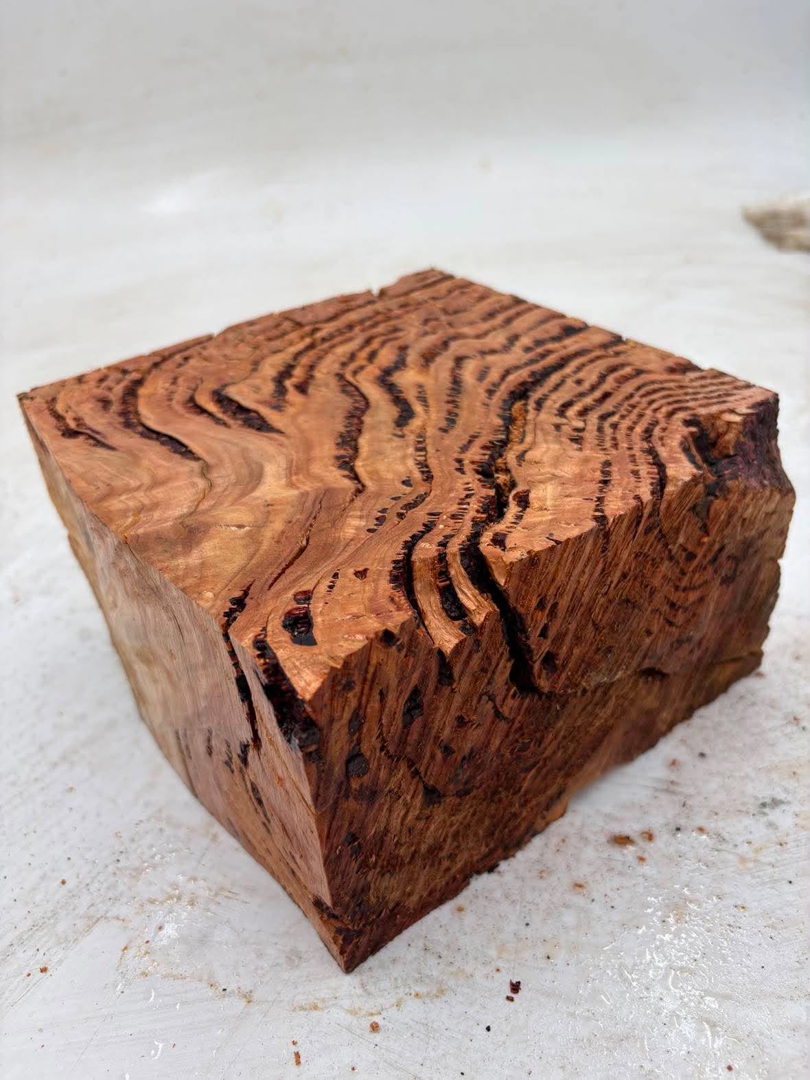 Forest Red Gum Burl 160 x 160 x 90mm
