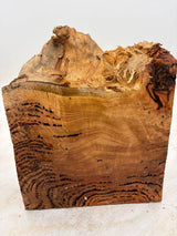 Forest Red Gum Burl 230 x 200 x 90mm