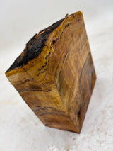 Forest Red Gum Burl 155 x 175 x 75mm