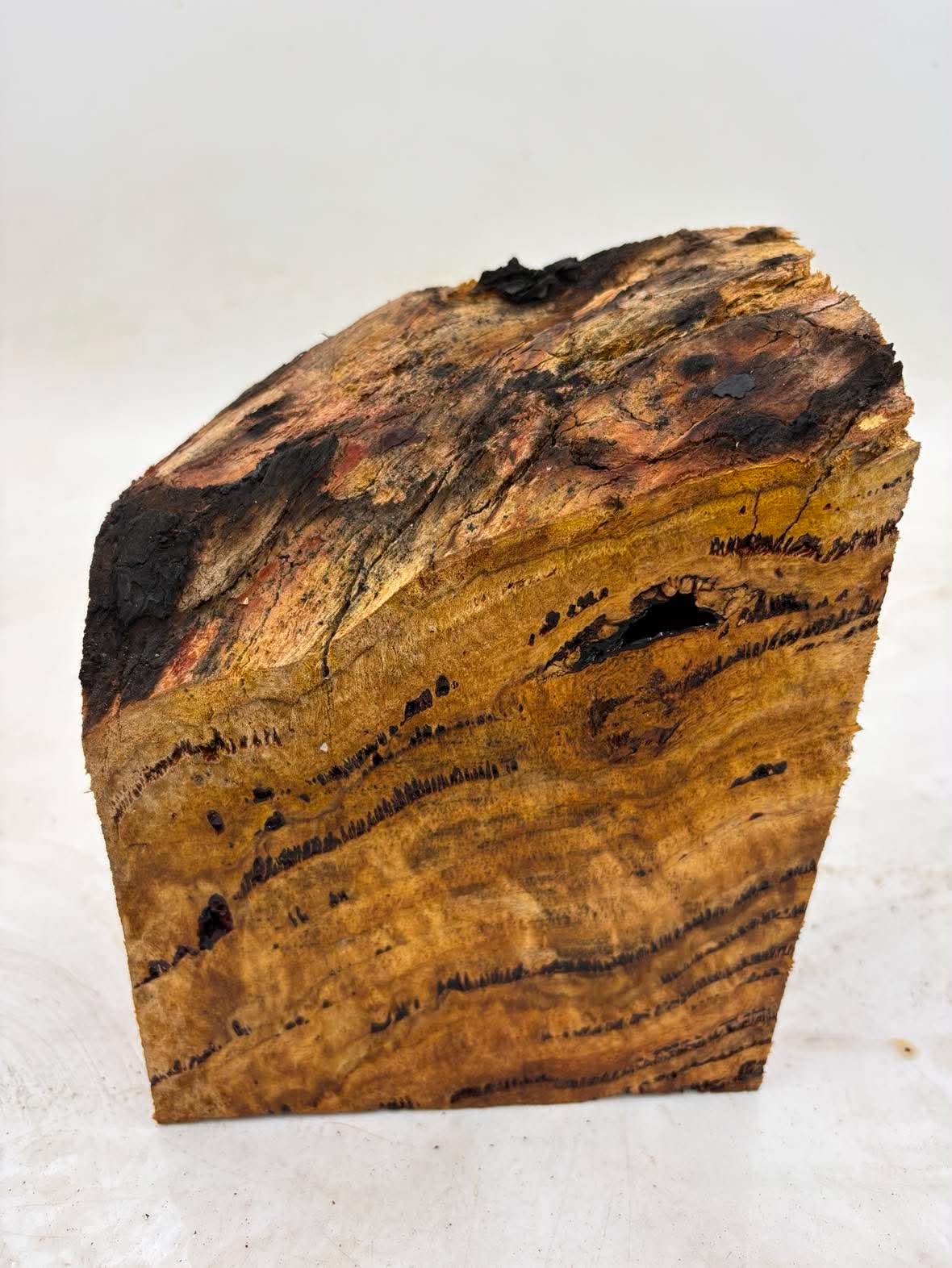 Forest Red Gum Burl 140 x 130 x 70mm