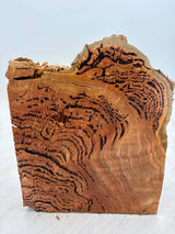 Forest Red Gum Burl 230 x 200 x 90mm