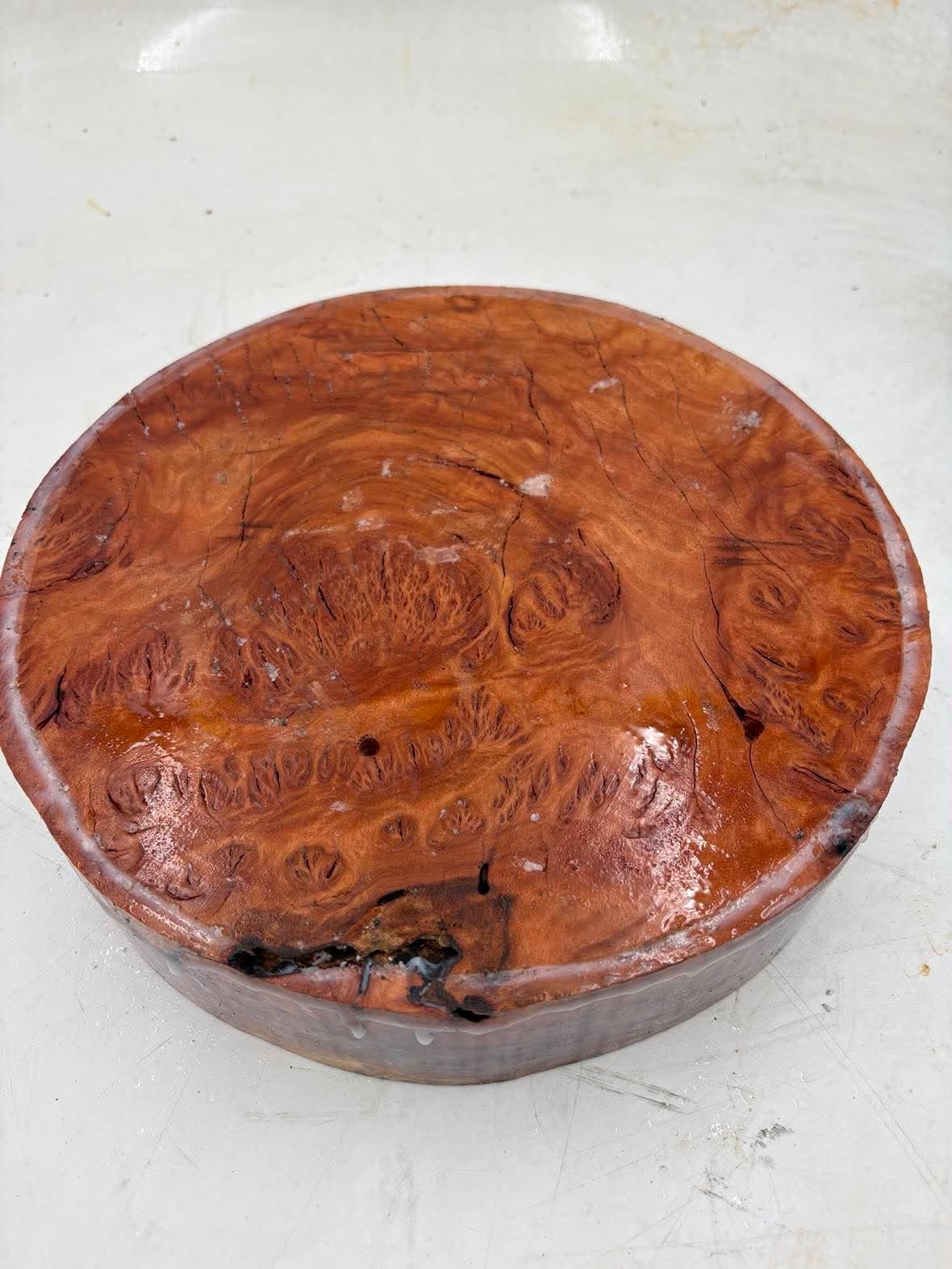Red Gum Burl Bowl Blank 260 x 60mm