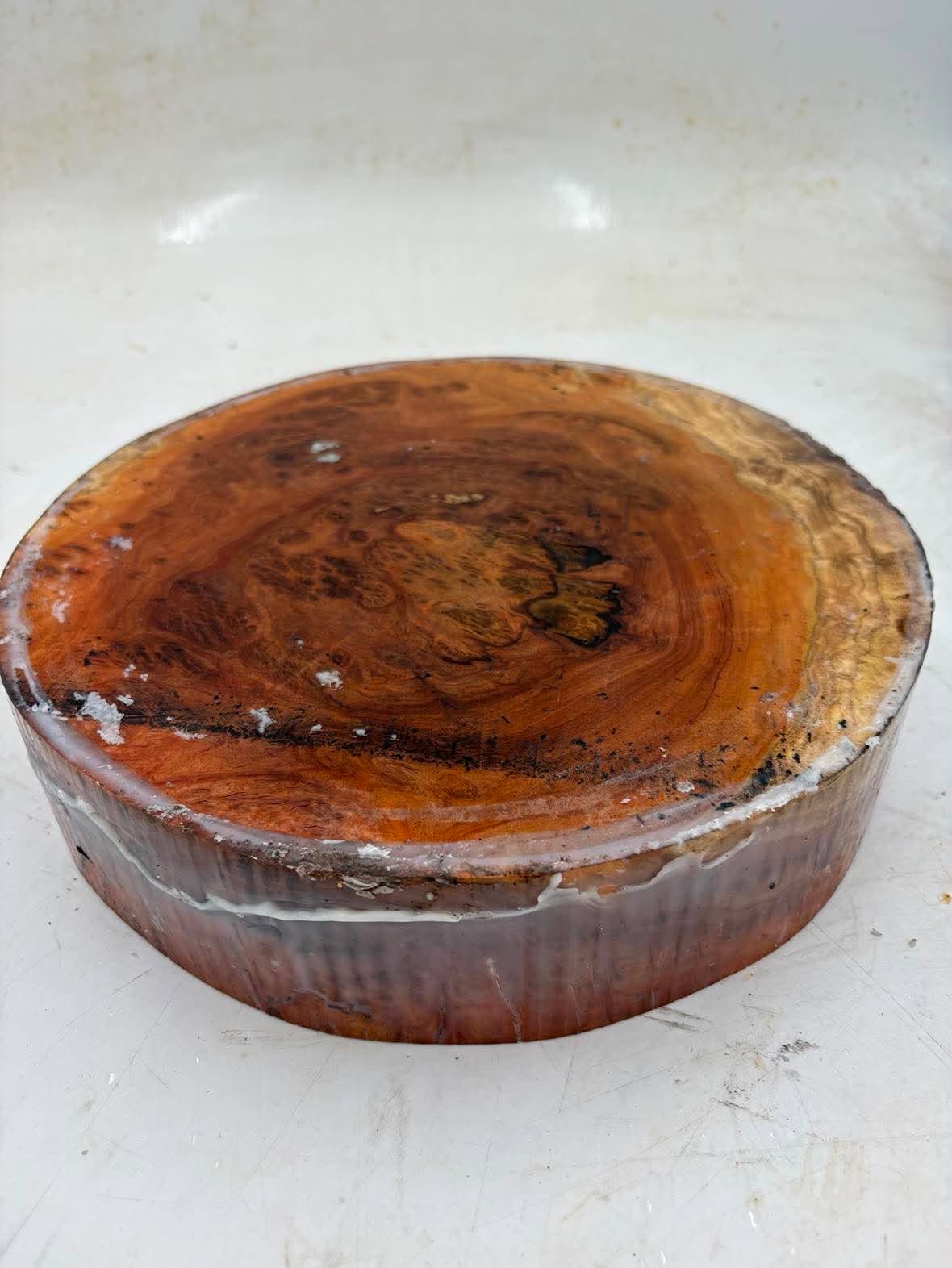 Red Gum Burl Bowl Blank 260 x 60mm