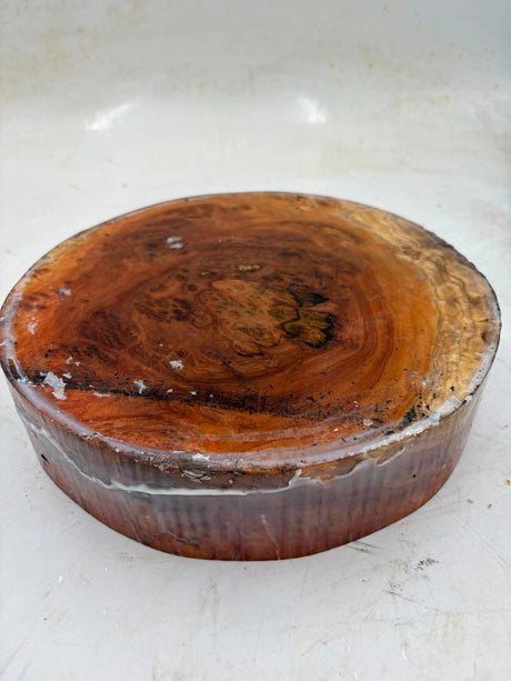 Red Gum Burl Bowl Blank 220 x 75mm