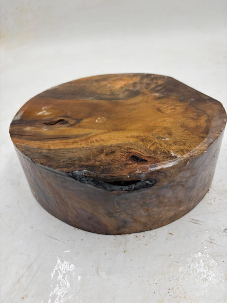 Musk Burl Bowl Blank 220 x 70mm