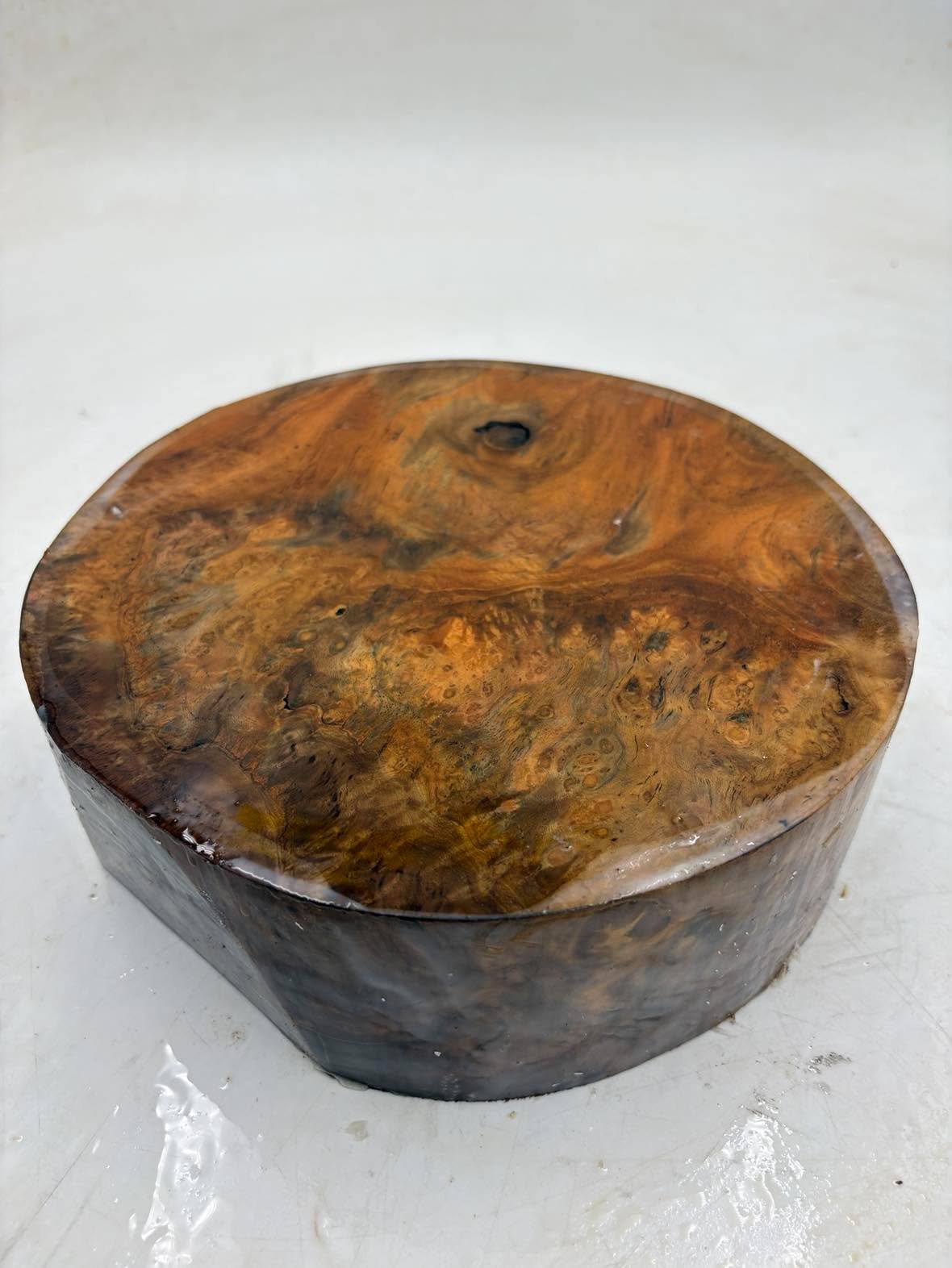 Musk Burl Bowl Blank 220 x 70mm