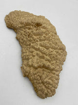 Red Mallee Burl 390 x 190 x 60mm