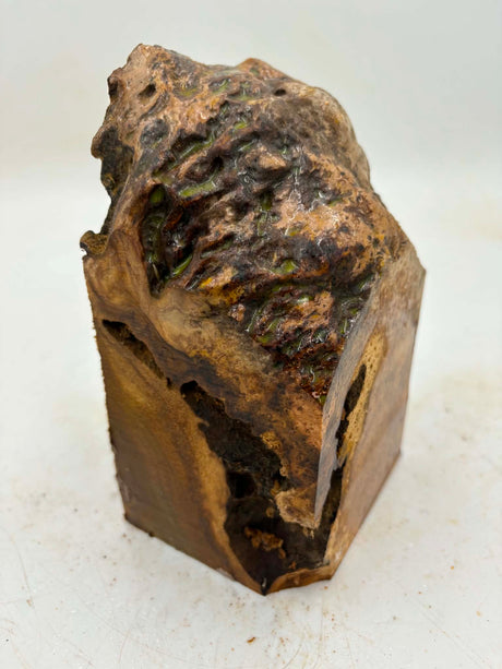 Musk Burl 170 x 90 x 100mm