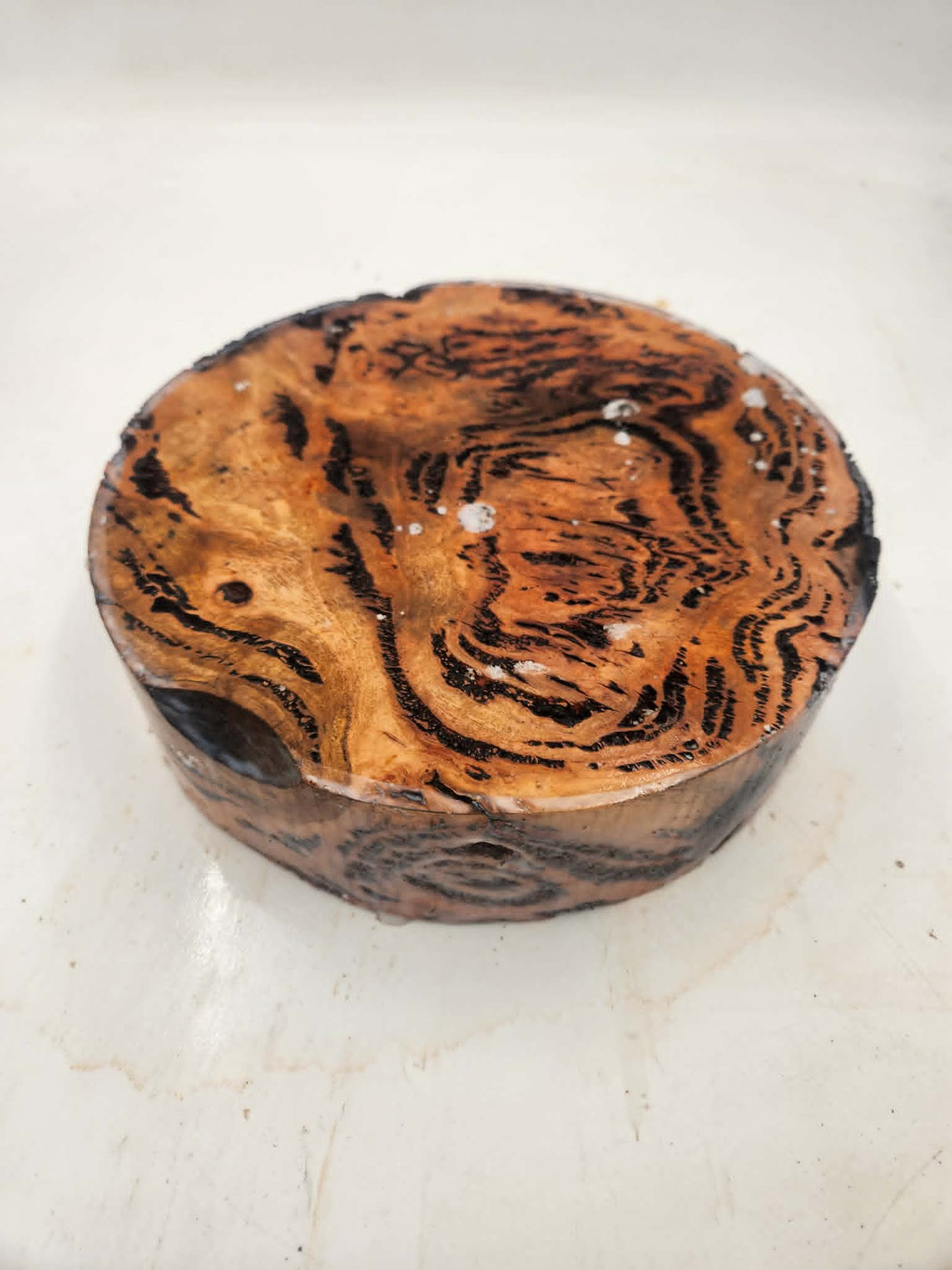 Forest Red Gum Burl Bowl Blank 260mmx65mm