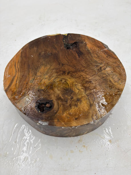 Musk Burl Bowl Blank 220 x 50mm