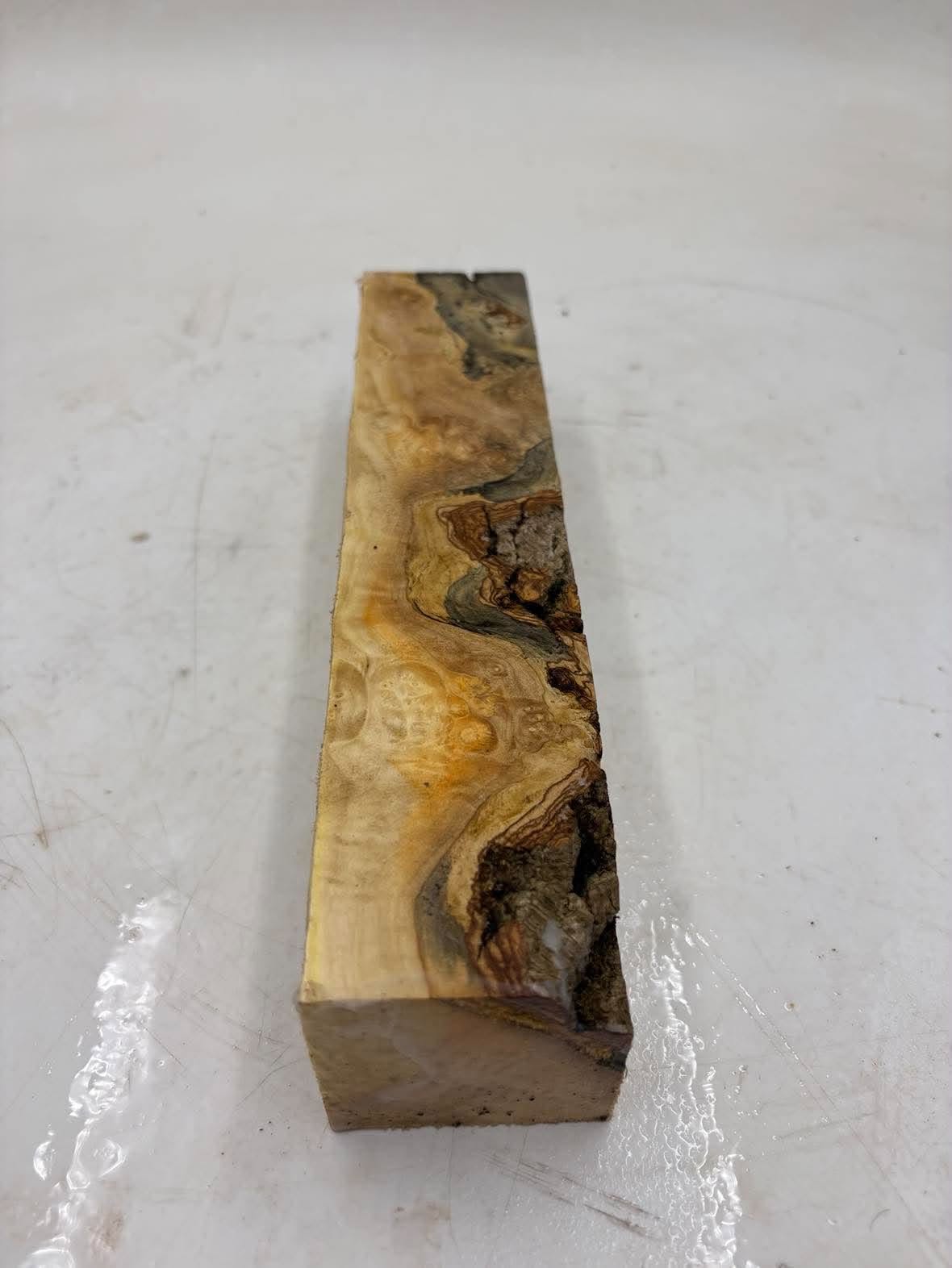 Box Elder Spindle 250 x 50 x 50mm (wet)