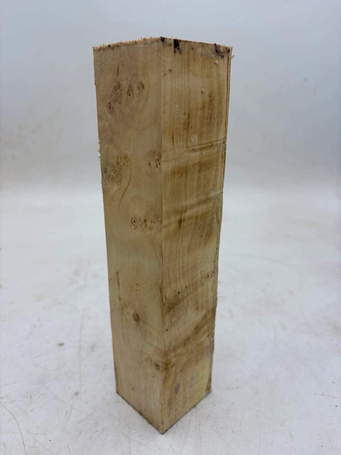 Box Elder Spindle 250 x 50 x 50mm (wet)