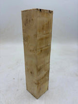Box Elder Spindle 250 x 50 x 50mm (wet)