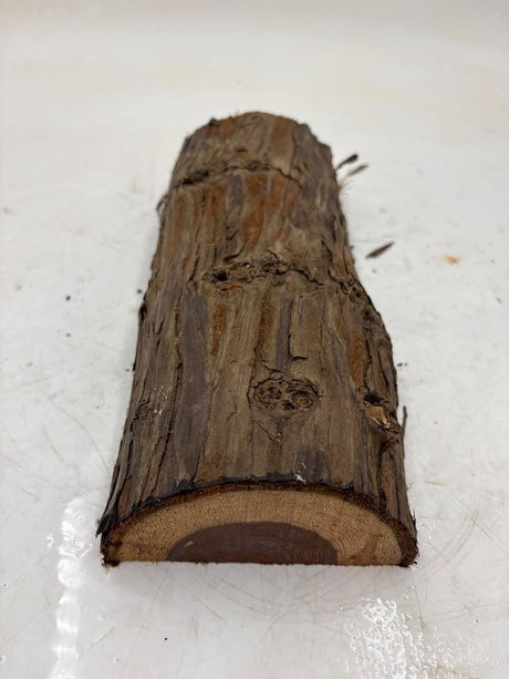 Californian Redwood Spindle 270 x 110 x 55mm