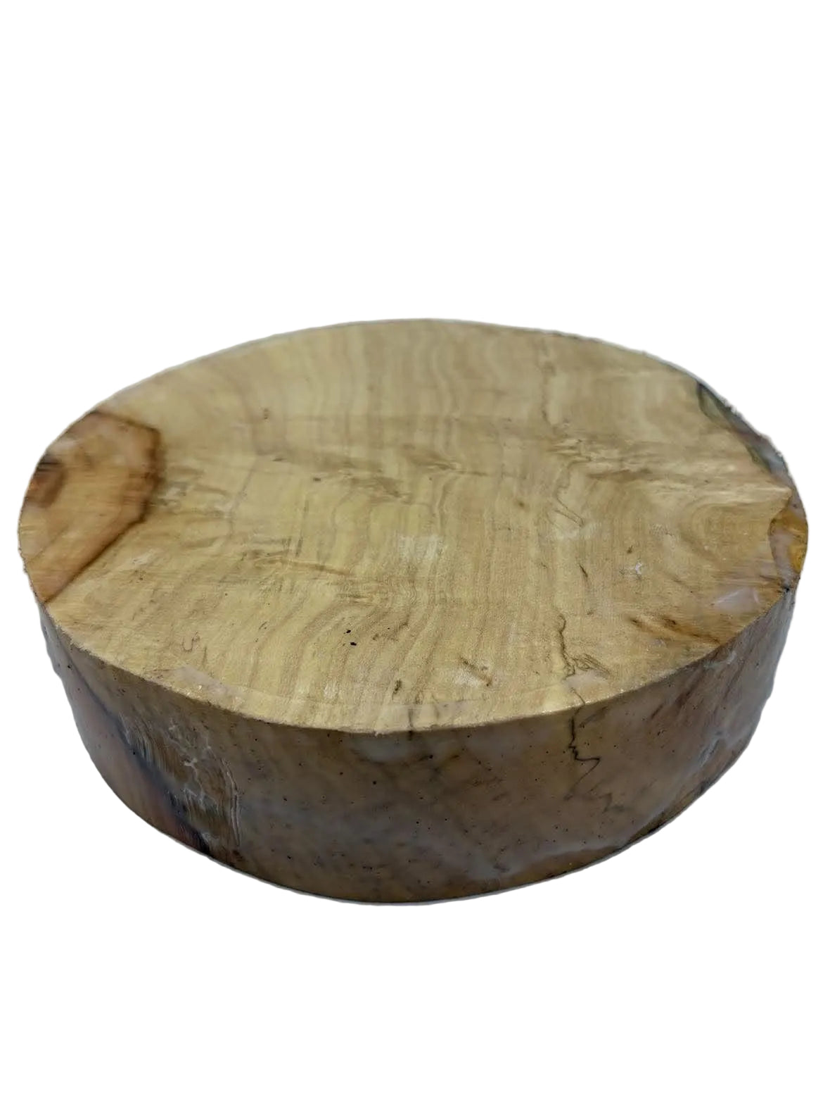 Box Elder Bowl Blank 200 x 80mm (wet)