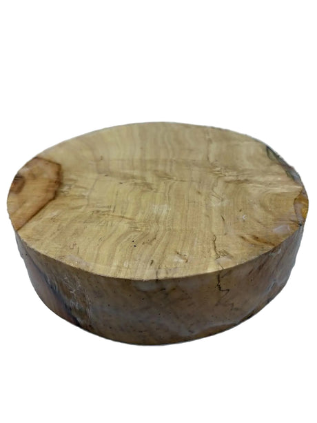 Box Elder Bowl Blank 260 x 85mm (wet)
