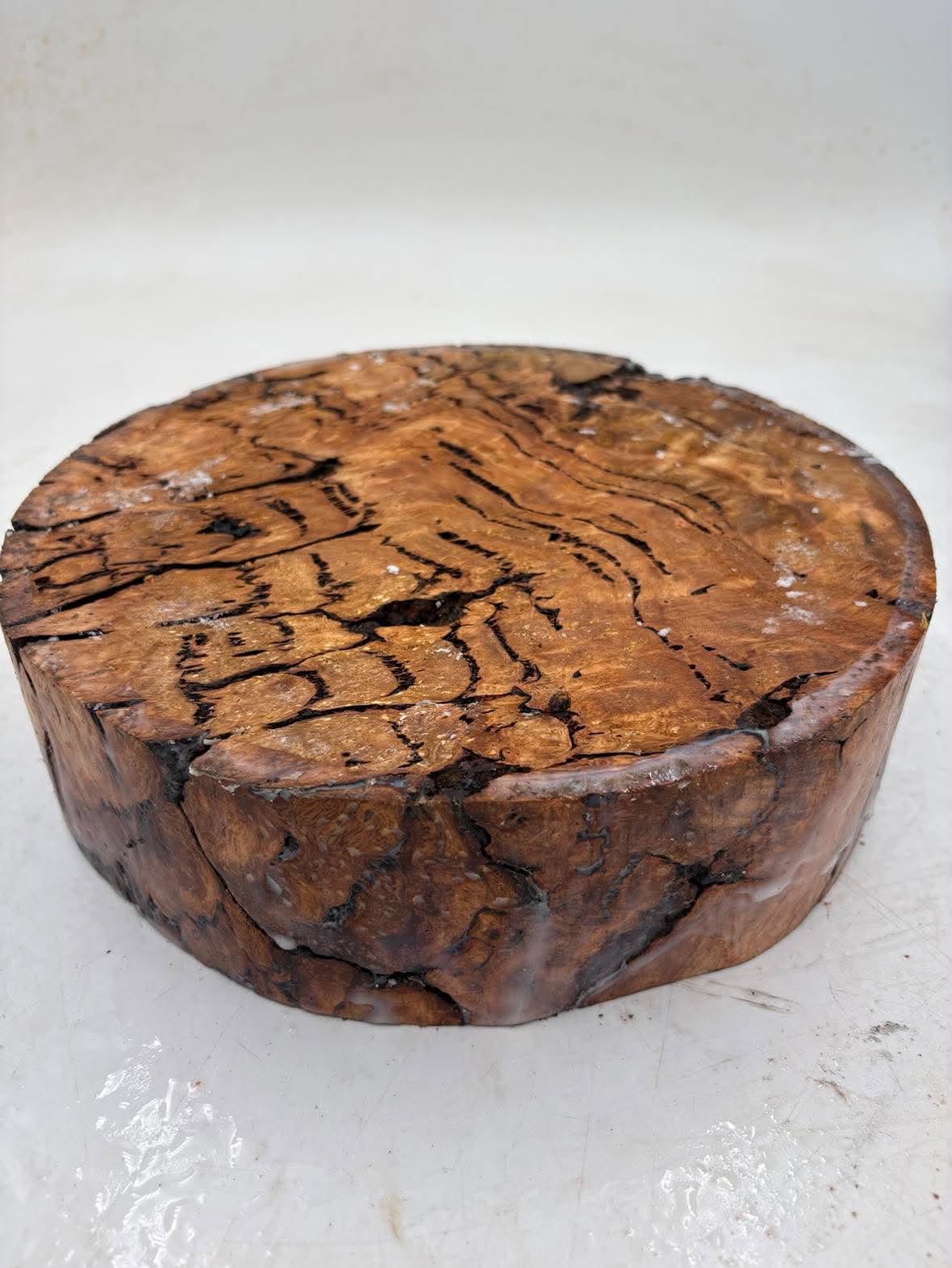 Manna Gum Burl Bowl Blank 260 x 75mm