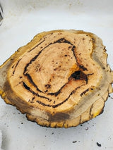 Red River Gum Burl 370x260x65mm