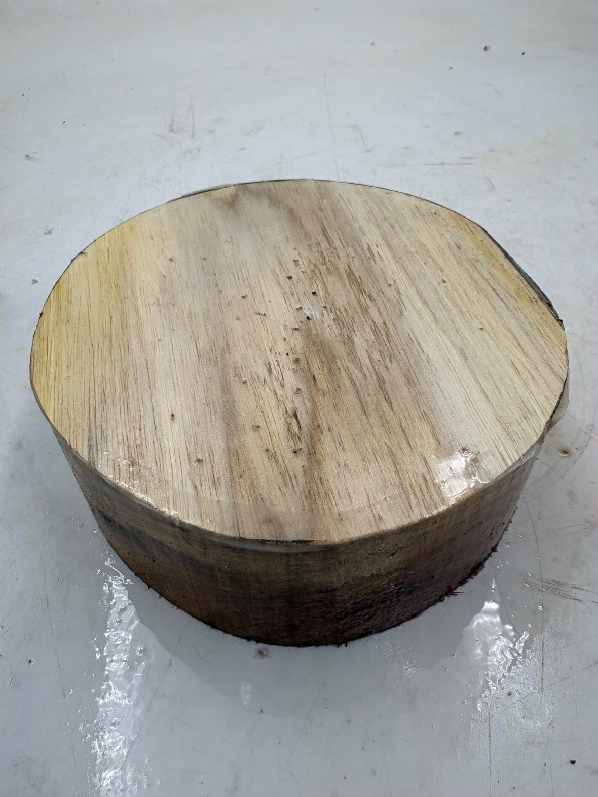 Silver Wattle Bowl Blank 150 x 60mm